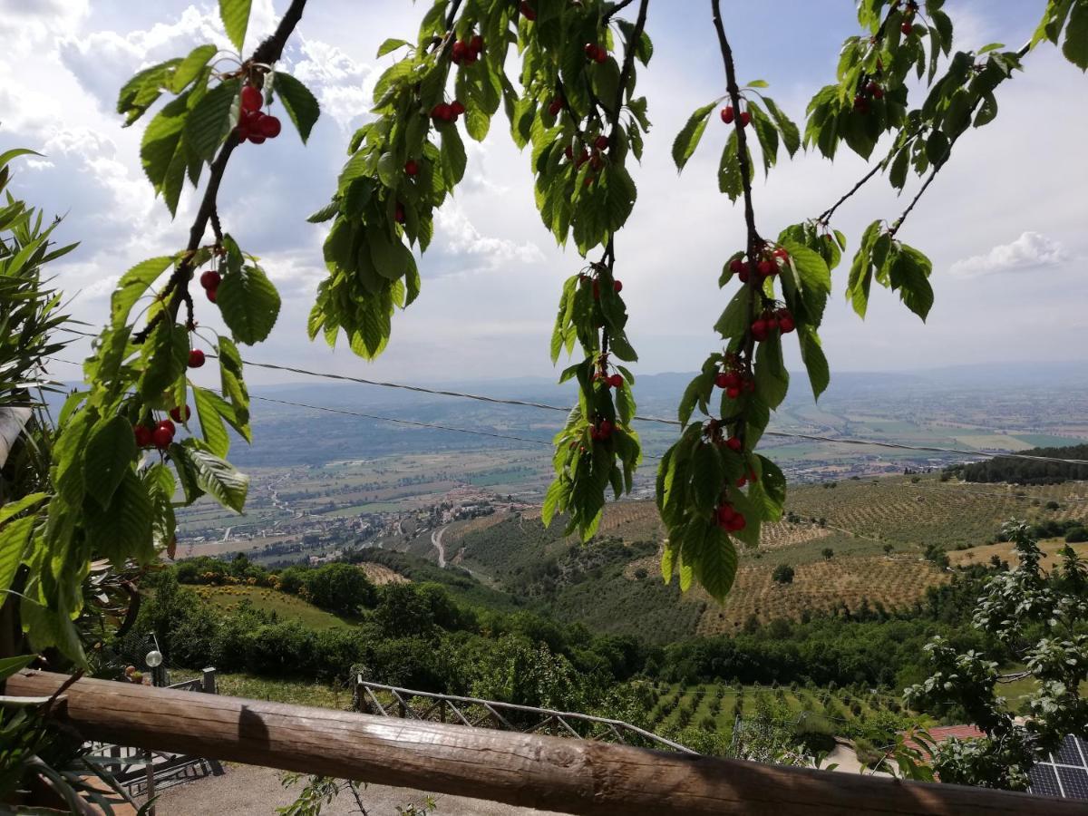 Appartamento Casa Galoppa Trevi Esterno foto