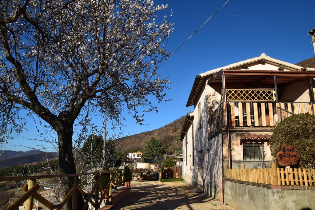 Appartamento Casa Galoppa Trevi Esterno foto